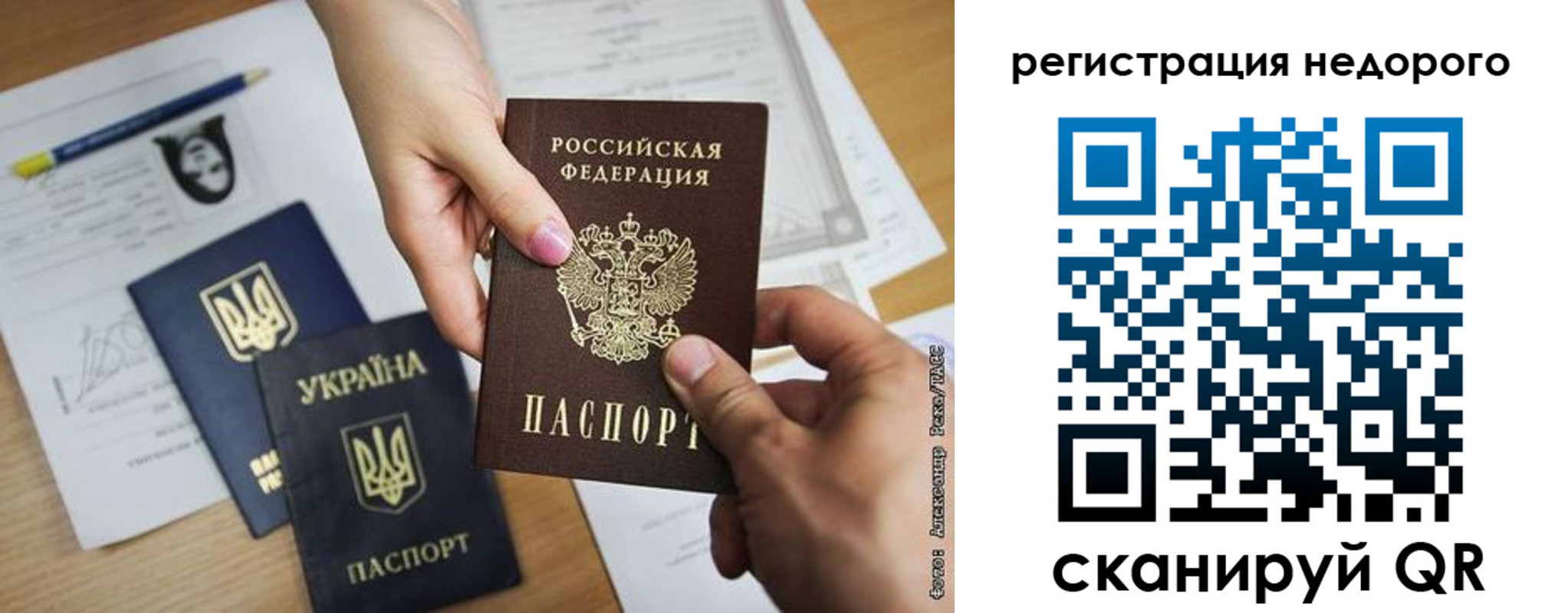 прописка в Щиграх